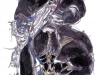 Black yeti