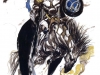 Dark rider