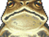 Big frog