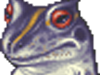 Dark frog