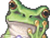 Girly frog