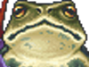 Poncho frog